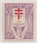 00B53 1925 15c + 5c Dull Violet and Red