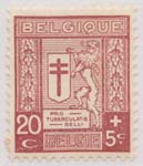 00B60 1926 20c + 5c Red Brown